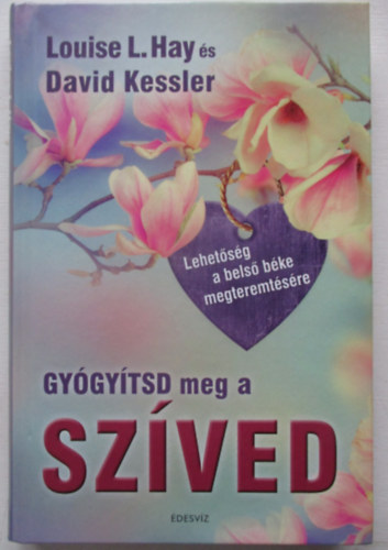 Louise L. Hay David Kessler - Gy�gy�tsd meg a sz�ved