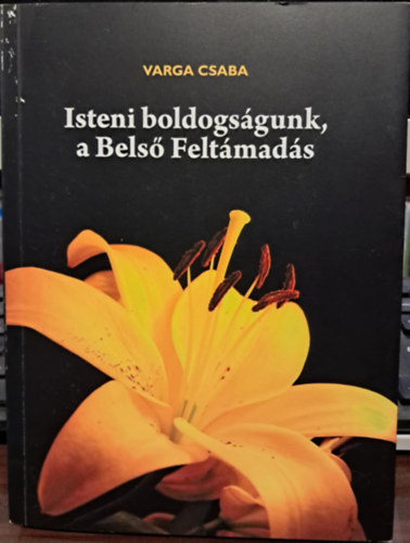 Varga Csaba - Isteni boldogs�gunk, a Bels� Felt�mad�s