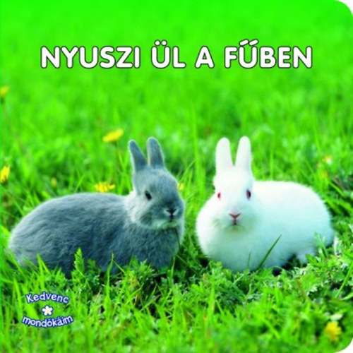 Kedvenc mondkim - Nyuszi l a fben