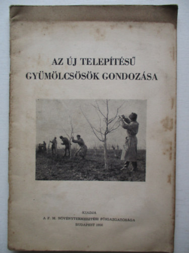 Iv�dy S�ndor - Az �j telep�t�s� gy�m�lcs�s�k gondoz�sa