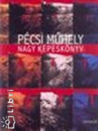 A Pcsi Mhely nagy kpesknyve