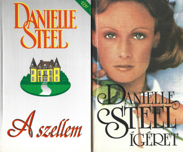 Danielle Steel - 2 db knyv, A szellem, gret