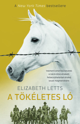 Elizabeth Letts - A tkletes l