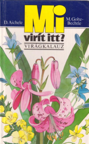 M.golte, Aichele, Dietmar Bechtle - Mi vir�t itt? (vir�gkalauz)