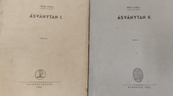 �sv�nytan I-II. k�zirat