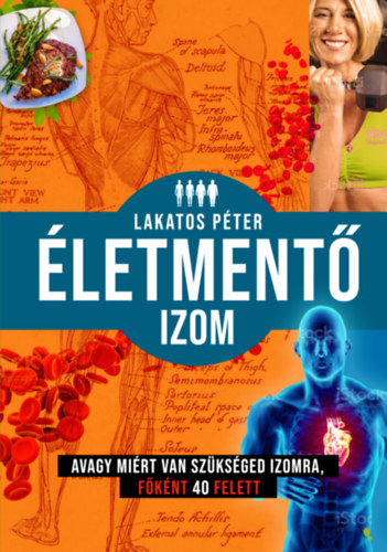 Lakatos Pter - Az letment izom