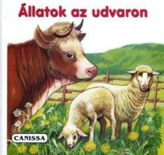�llatok az udvaron