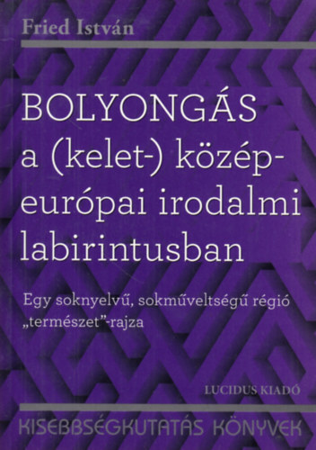 Fried Istvn - Bolyongs a (kelet-) kzp-eurpai irodalmi labirintusban
