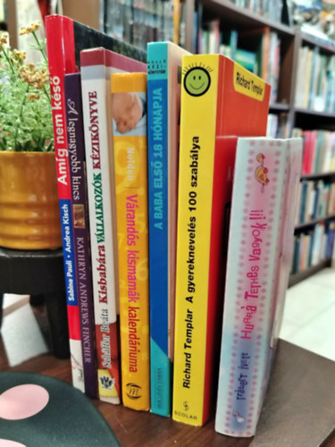 Richard Templar, Anne Yelland, Anette Nolden, Kathryn Andrews Fincher, Pauli, Sabine; Kisch, Andrea, Schffer Beta Trbert Ivett - KNYVMENT AJNLAT, 7 DB. Gyermekek s szlk. Hurr, terhes vagyok!!! - ."de frszt kapok mindenkitl!", A gyereknevels 100 szablya,  A baba els 18 hnapja, Vrands kismamk kalendriuma, A legnagyobb kincs - az anyai szeretet s
