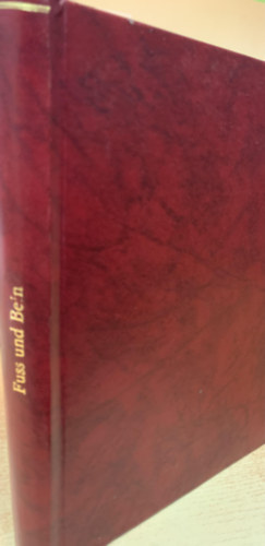 Georg Hohmann - Fu� und Bein. Ihre Erkrankungen und deren Behandlung. EIn Lehrbuch.