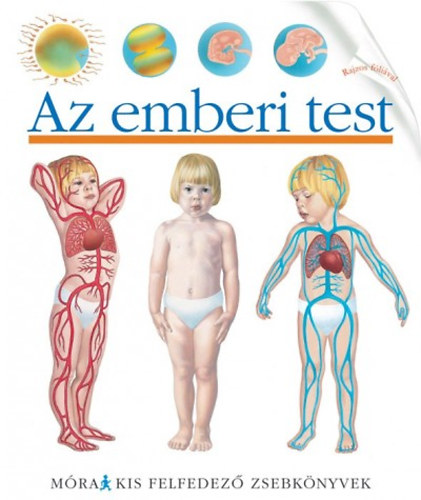 Az emberi test - Kis felfedez� zsebk�nyvek 21.