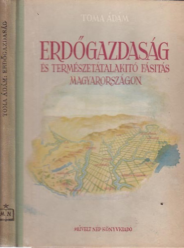Toma Ádám - Erdőgazdaság és természetátalakító fásítás Magyarországon