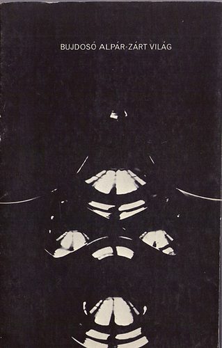 Bujdosó Alpár - Zárt világ