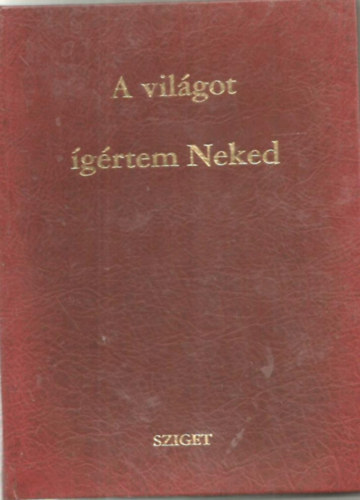 Horvth Andrea-Bta Gbor-Imre Horvath - A vilgot grtem neked