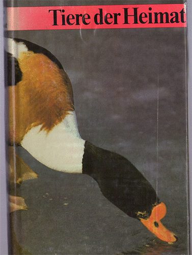 Prof.Dr. Bernard Klausnitzer Klaus Heinzel - Tiere der Heimat