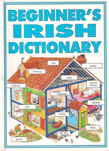 Beginner's Irish Dictionary