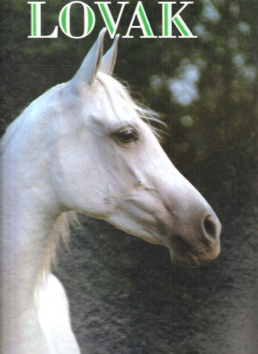 Marietta Whittlesey - Lovak