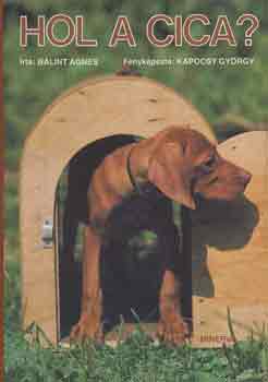 B�lint �gnes - Hol a cica?