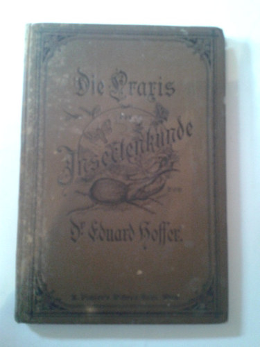 Dr. Eduard Hoffer - Praxis der Insectenkunde