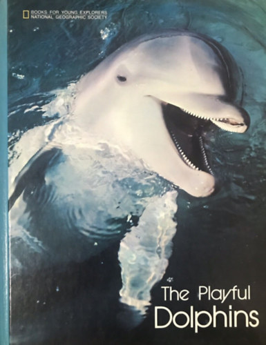Linda McCarter Bridge - The Playful Dolphins