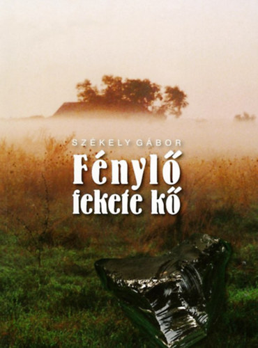 Szkely Gbor - Fnyl fekete k