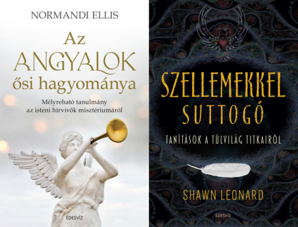 Normandi Ellis, Shawn Leonard - 2 m  spiritulis hrvvkrl: Az angyalok si hagyomnya - Mlyrehat tanulmny az isteni hrvivk misztriumrl + Szellemekkel suttog - Tantsok a tlvilg titkairl