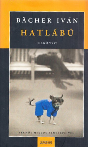 B�cher Iv�n - Hatl�b� (ebk�nyv)