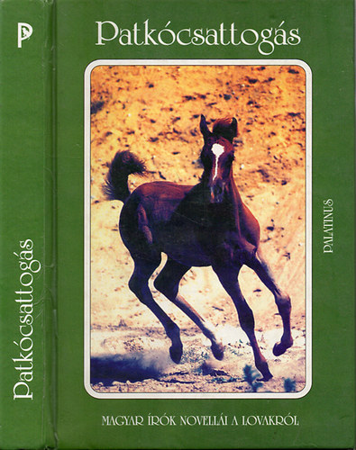 D. Szabó Mária (szerk.) - Patkócsattogás
