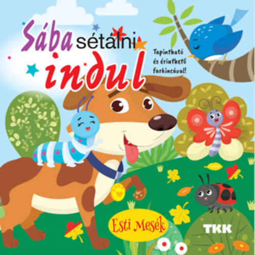 Sába sétálni indul