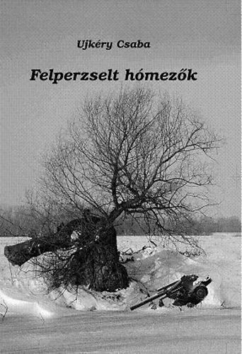 Ujk�ry Csaba - Felperzselt h�mez�k