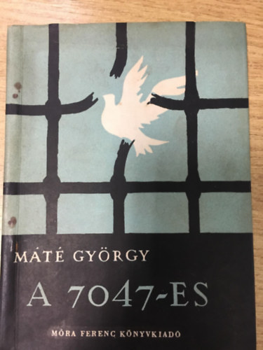 Mt Gyrgy - a 7047-es