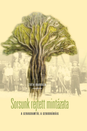 Tóth Borbála - Sorsunk rejtett mintázata