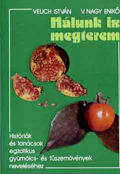 Velich Istv�n-V. Nagy Enik� - N�lunk is megterem