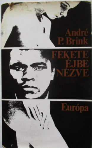 Andr P. Brink - Fekete jbe nzve