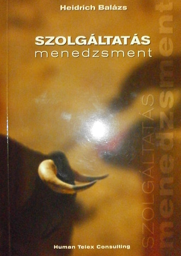 Heidrich Balázs - Szolgáltatás menedzsment