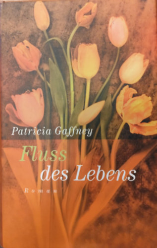 Patricia Gaffney - Fluss des Lebens