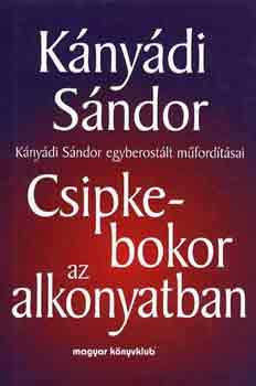 Knydi Sndor - Csipkebokor az alkonyatban