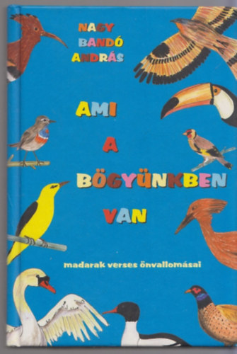 Nagy Band Andrs - Ami a bgynkben van