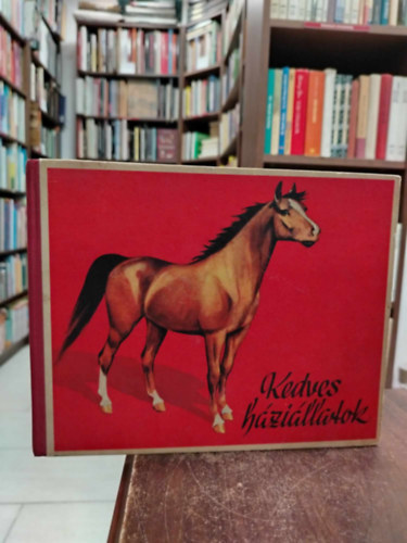 Kedves háziállatok