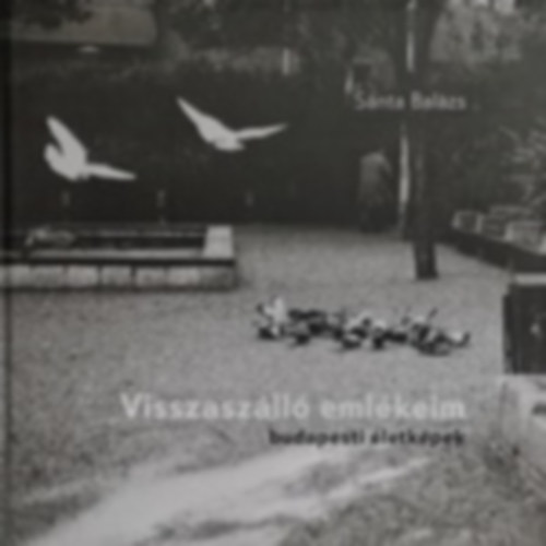 S�nta Bal�zs - Visszasz�ll� eml�keim budapesti �letk�pek