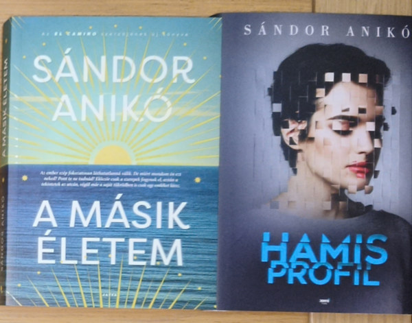 Sándor Anikó - 2db Sándor Anikó regény - Hamis profil, A másik életem