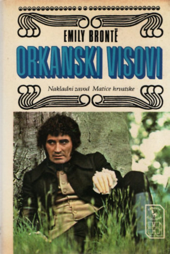 Emily Bront� - Orkanski visovi