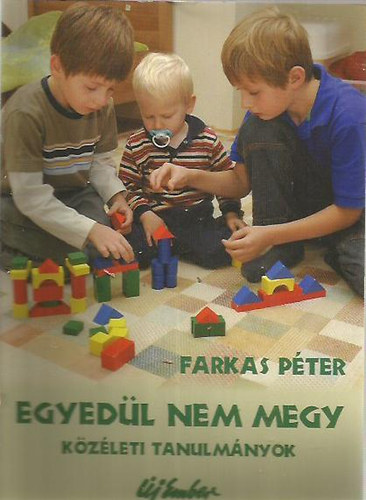 Farkas Pter - Egyedl nem megy - Kzleti tanulmnyok