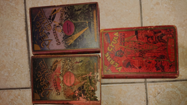 3 db Jules Verne regny: szak dl ellen, A nvtelen csald,