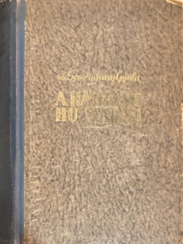 Vit�z Somogyv�ry Gyula - A hadtest h� marad