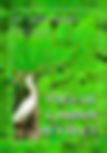 N�dai Magda Dr. - Tollas, lombos b�v�let (madarak �s f�k a k�lt�szetben)