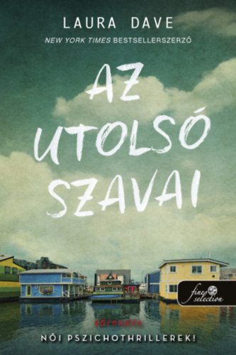 Laura Dave - Az utols szavai