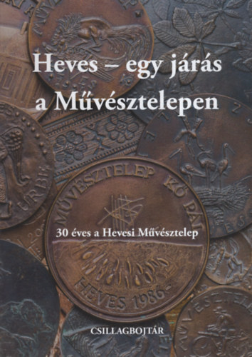 E. Turcsányi Katalin - Heves - egy járás a Művésztelepen