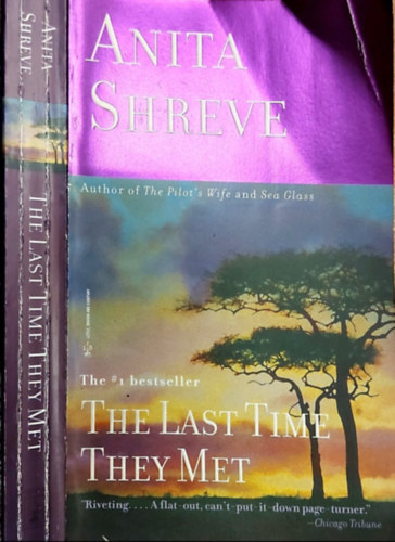 Anita Shreve - The Last Time They Met
