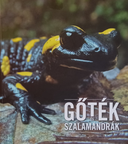 Kovcs Tibor - Gtk s szalamandrk